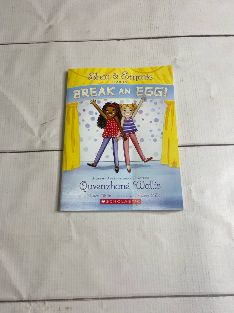 Chapter Book Book
