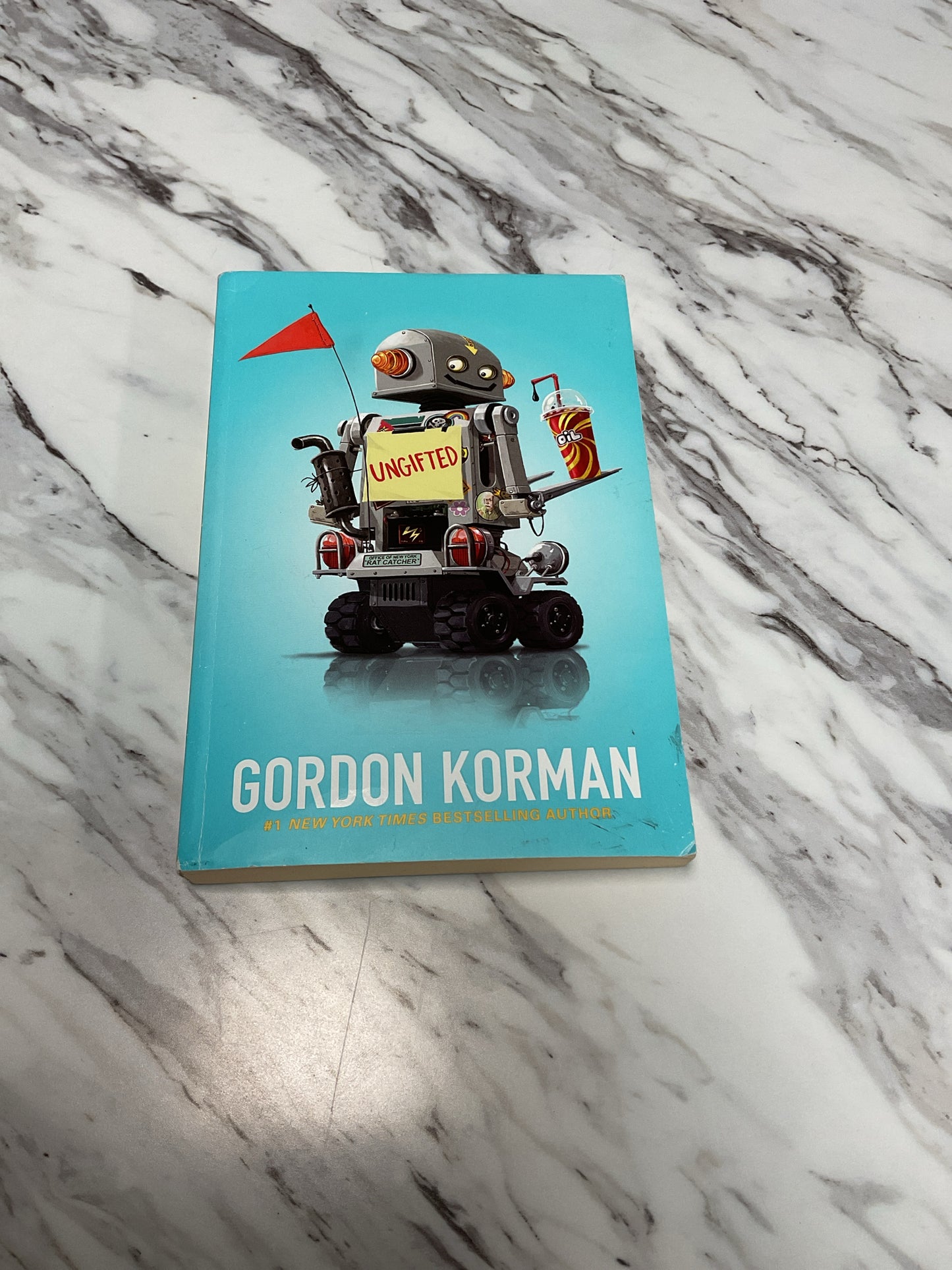 Chapter Book Book