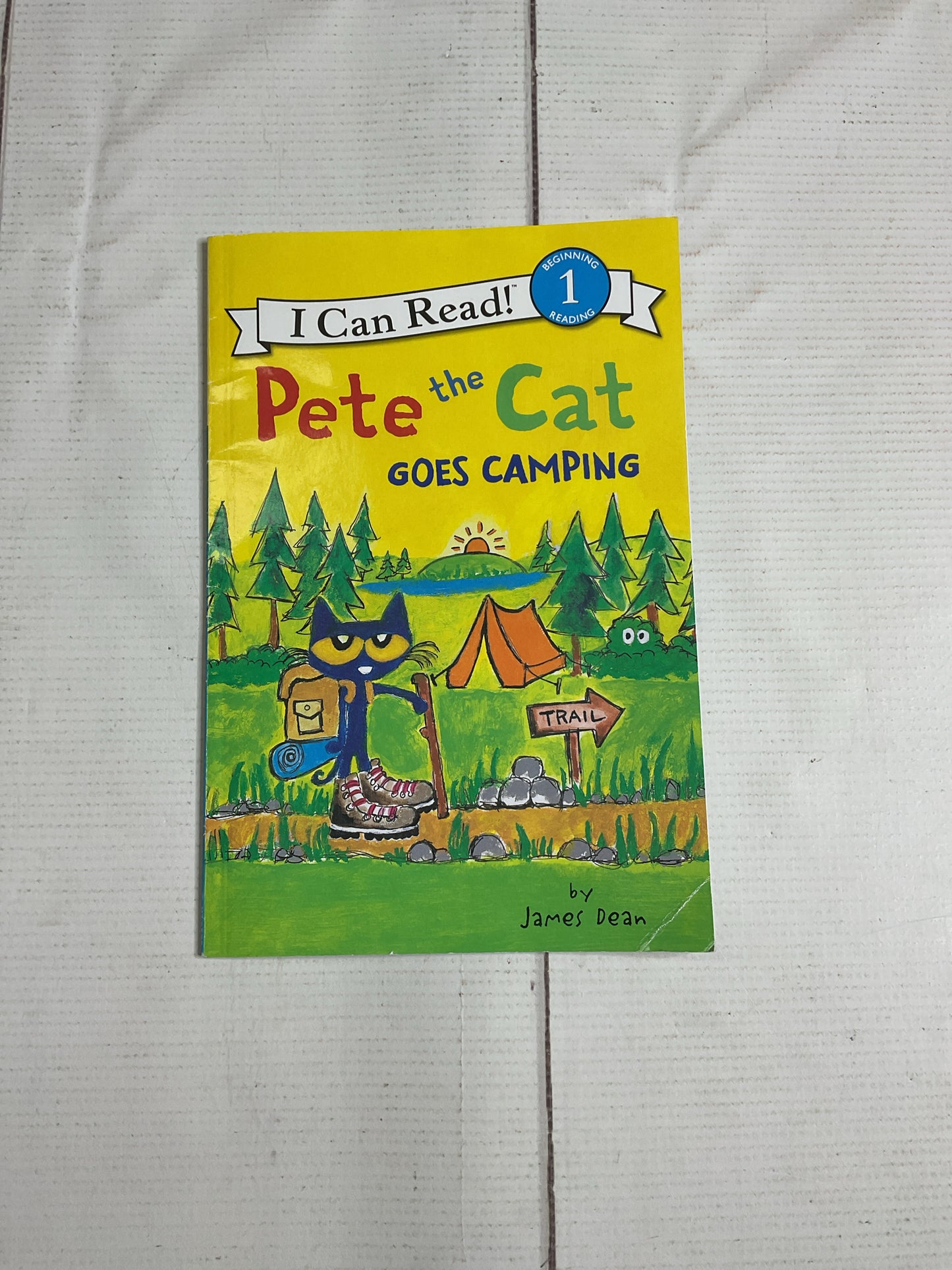 I Can Read Book