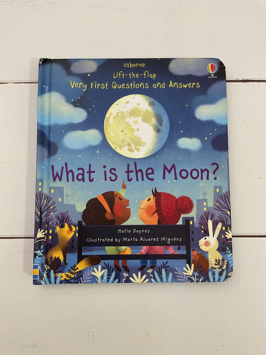 Usborne Book 
