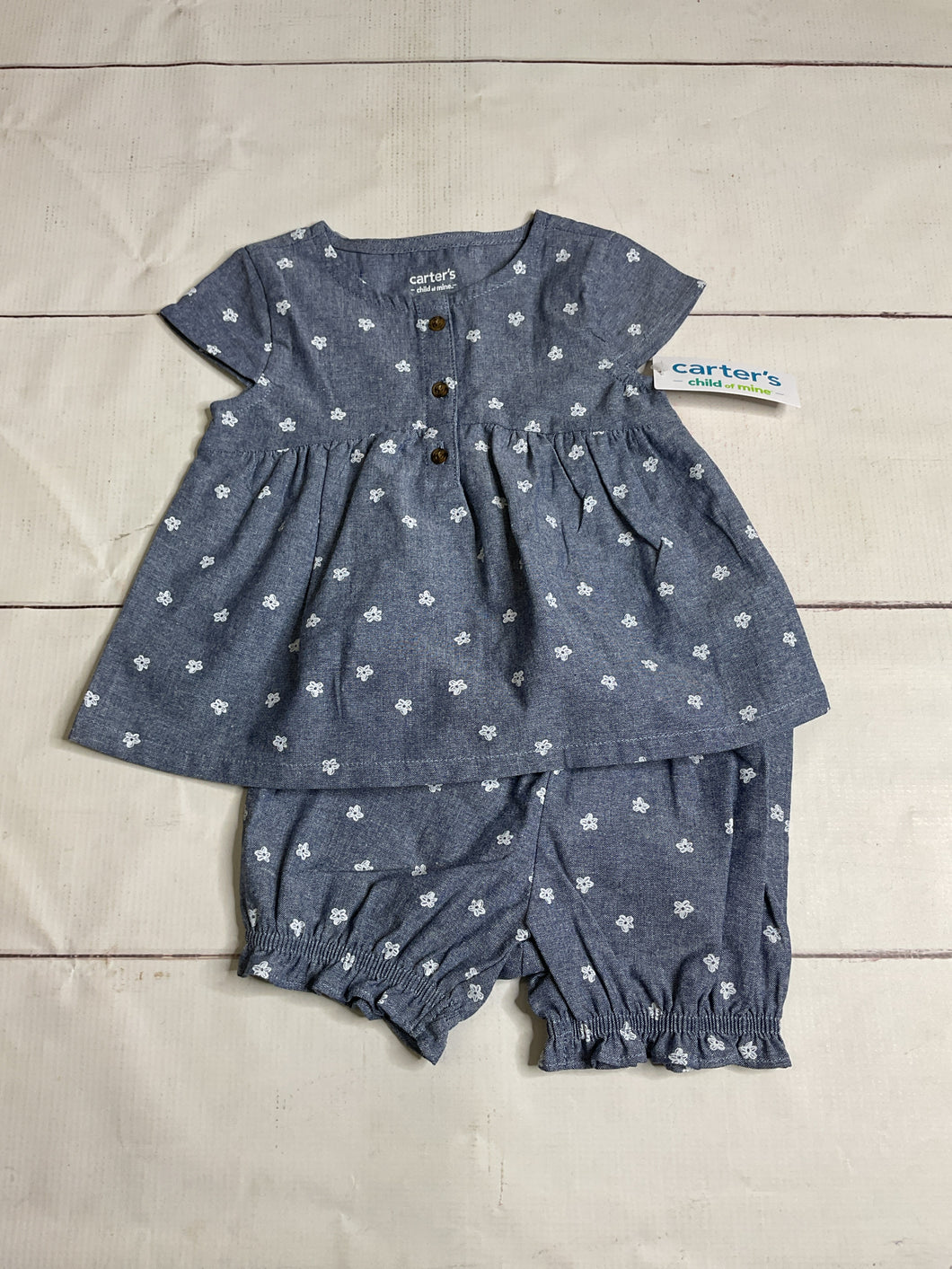 Carter's Size 18M 2pc Outfit