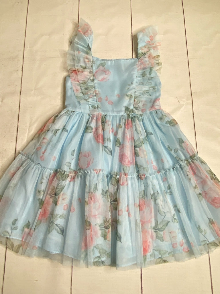 Rare Editions Size 6X Dress