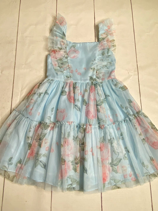Rare Editions Size 6X Dress