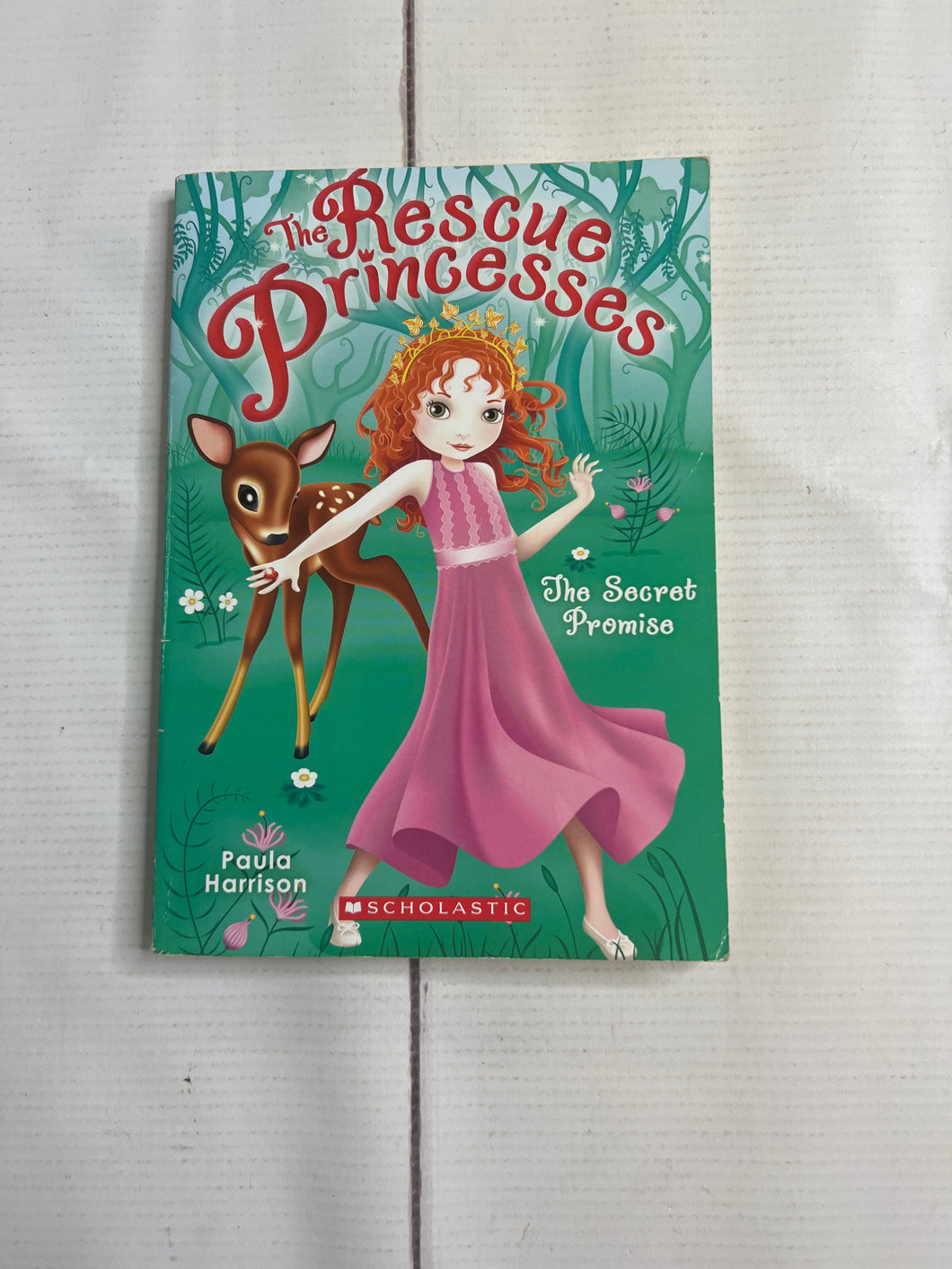 Rescue Princess Book