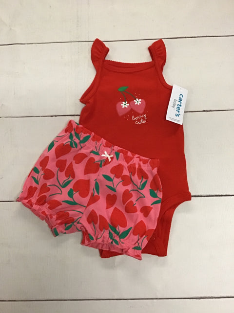 Carter's Size 12M 2pc Outfit